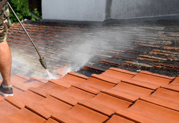 Local Pressure Washing Services in Paulding, OH