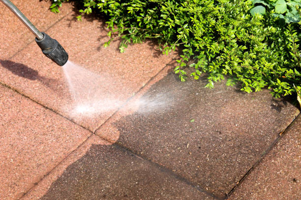 Best Deck Pressure Washing  in Paulding, OH